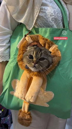 کوله پت سگ و گربه