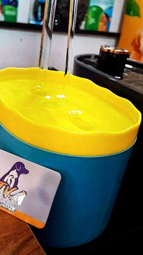 ابخوری اتوماتیک گربه و سگ